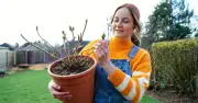 Gardeners Snap Up 'Best Ever' Watering Can During Hosepipe Ban