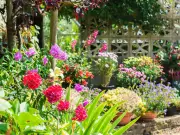 Gardeners Urged to Avoid 1 Key Mistake That Stops Flowers Blooming
