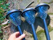 Gardeners Urged to Do 1 Simple Task in July for Brighter Solar Lights