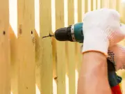Gardeners Urged to Drill Fence Holes for Endangered Hedgehogs