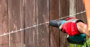 Gardeners Urged to Drill Holes in Fences to Help Hedgehogs in July