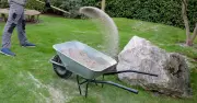 Gardeners Urged to Pour Sand on Lawn for Thicker, Greener Grass