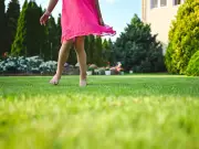 Gardeners Urged to Sprinkle £1 Sugar on Lawns for Greener Grass in July