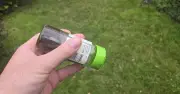 Gardeners Urged to Sprinkle Garlic on Lawns to Deter Pests