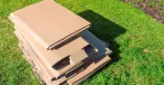 Gardeners Urged to Use Cardboard to Kill Bindweed in July