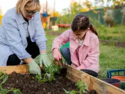 Gardeners Urged to Use Eggshells Against Slugs This Month