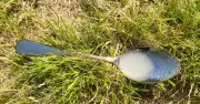 Gardeners Urged to Use Sugar Water to Save Tired Bees This July