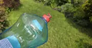 Gardeners Urged to Use Washing Up Liquid to Kill Lawn Moss