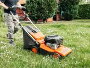 Gardeners Warned to Raise Lawnmower Height as UK Temperatures Hit 29C