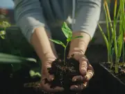 Gardeners' World: 6 Fast-Growing Vegetables to Plant Now for Autumn Harvest