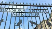 Gateshead Animal Shelter Pleads for £250k to Rebuild Dilapidated Kennels