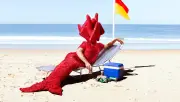 Gerwyn Davies' Sunburn: A Kitschy Love Letter to Coastal Australiana
