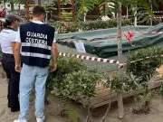 Girl, 11, Dies After Hair Trapped in Pool Suction Pipe in Italy