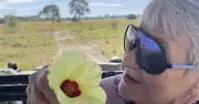 Gran killed by rogue elephant on dream safari in Zambia