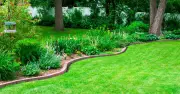 Grass Stays Greener Longer If You Avoid Mowing During Heatwave
