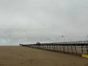 Green Party Calls to Save Southport Beach from Siltation and Marsh Growth