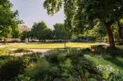 Grosvenor Square Reopens After £25m Makeover with New Plants and Cafe