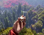 Haex: A Wilder, Weirder Open-World Adventure with Terraforming Seeds