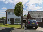 Half-Cut Tree Still Attracts Visitors Five Years After Neighbours Chopped It