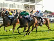 Harry Knows NAP at Windsor, Command The Stars NB at Ripon
