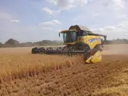 Harvest Arrives Three Weeks Earlier in Lincolnshire