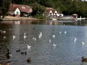 Heaton Park: Lake, Animals, Tubing Slide, Cafes for Family Day Out
