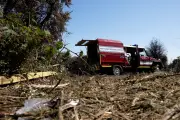 Heatwave Sparks 19 Wildfires Across England and Wales