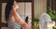 Heatwave Warning for People on Common Medications Sertraline, Citalopram, Fluoxetine