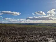 High Court Dismisses Challenge to Major County Durham Forest Plan