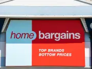 Home Bargains £13 Fall Hanging Basket Adds 'Instant Charm'