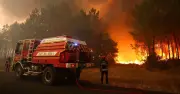 Horror 'firenado' scorches French holiday hotspot - thousands evacuated