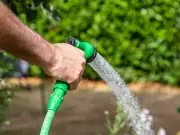 Hosepipe Ban Announced for Parts of Devon Amid Heatwave