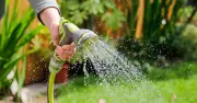 Hosepipe Ban Extended to 2.4 Million People Across Four UK Counties