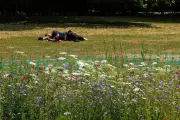 Hosepipe Ban Fears in London Amid Third Heatwave of Year