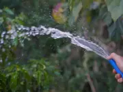 Hosepipe ban for 2.4 million as UK faces record dry spell