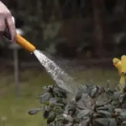 Hosepipe Ban Imposed for 1 Million in Hampshire and Isle of Wight