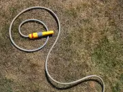 Hosepipe Ban in Wales: Rules, Affected Areas, and Duration Explained