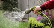 Hosepipe Ban Mistake Could Cost Homeowners £1,000 from July 25