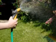Hosepipe Ban Starts July 10 in Hampshire and Isle of Wight as UK Heatwave Looms