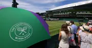 How to Become a Wimbledon Member: All England Club Rules Explained