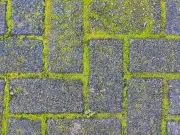 How to Remove Patio Moss and Algae Naturally Using Baking Soda