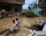 Hundreds of Venomous Snakes Escape Farms in Flooded Southern China