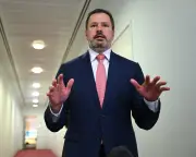 Husic Warns Labor Against Weakening Copyright for AI Firms