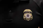 ICE Agent Fatally Shoots Driver During Traffic Stop in Houston