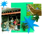 Inside a US alligator museum: 'If it's green, it sells'