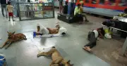 Inside Banda: World's hottest town where locals sleep outside