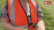 Inside UK's Frenzied Pea Farms: 24/7 Shifts, Viruses, and Climate Threats