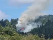 Investigation after disposable BBQ found at Macclesfield Forest fire