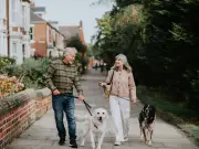 ITV Vet Shares 60p Sardine Water Hack to Keep Dogs Cool in Heatwave