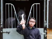 Japan's Masquerade Ball faces 'biggest race of his life' at Ascot